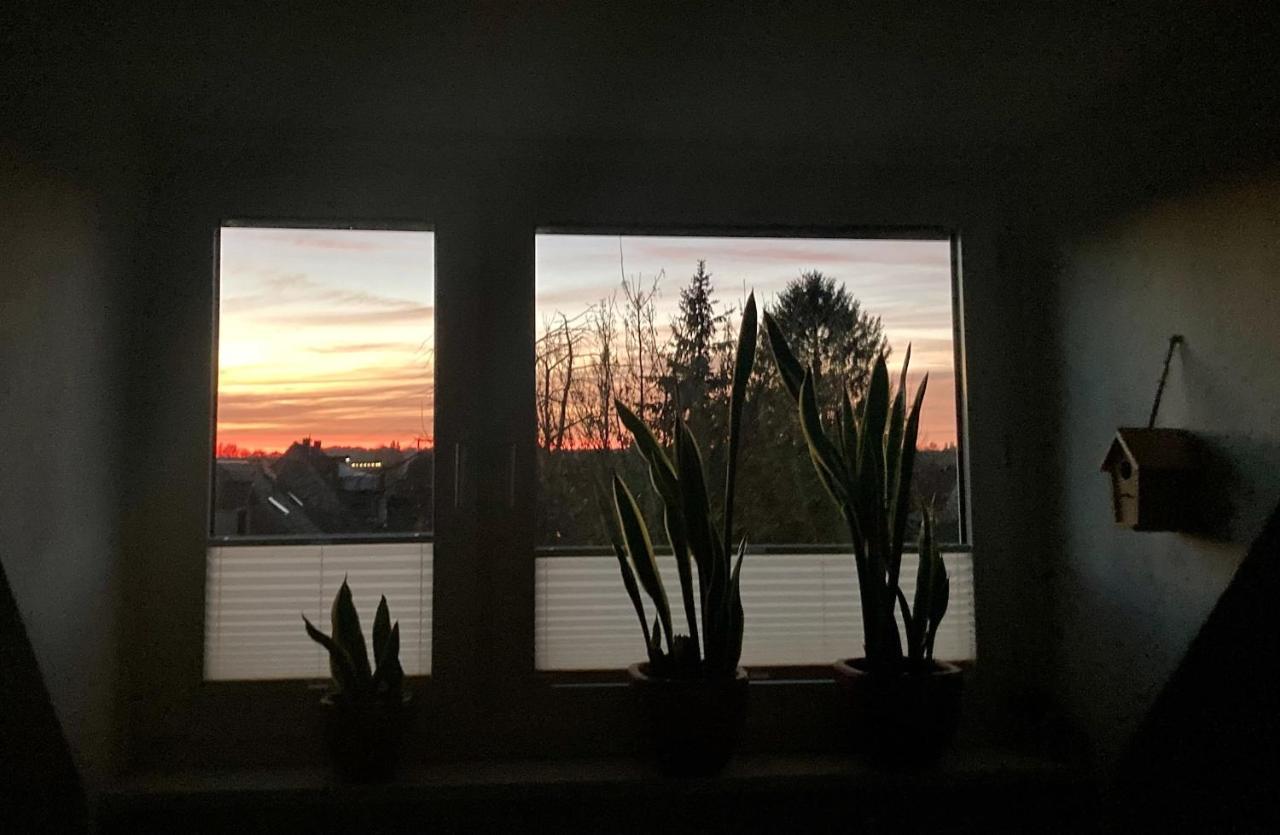 Amsel Apartment